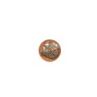 Plato llano 15cm crab burnt orange Icon - AE 609035