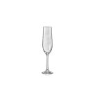 Copa champagne 19cl colección optic - AE 169211