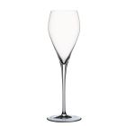 Copa champagne 25cl colección special glasses-SP 4900329